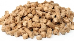 Chast filler pre cat wc: ako si vybrať to najlepšie